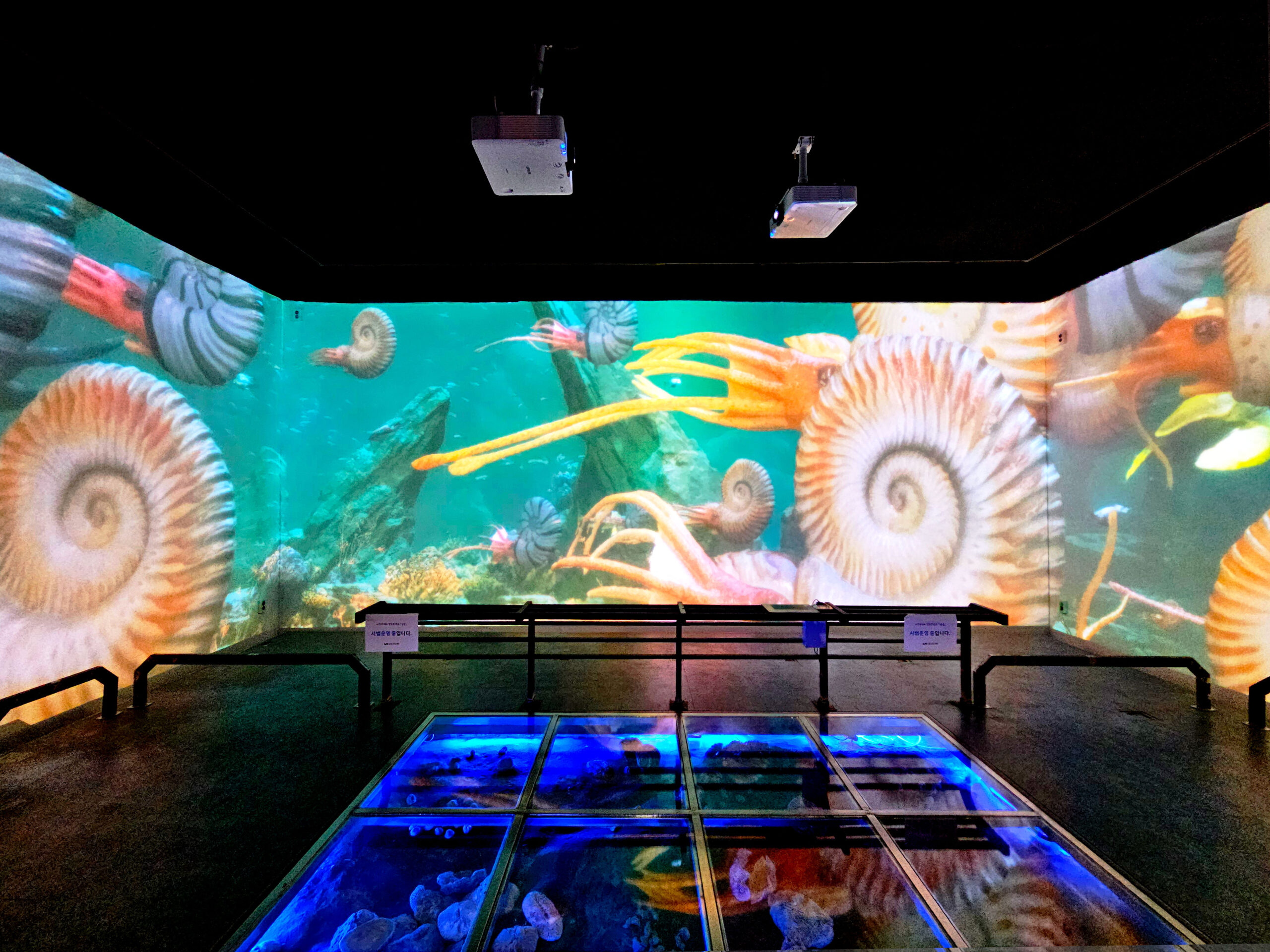 우석헌 자연사 박물관｜Wooseokheon Natural History Museum